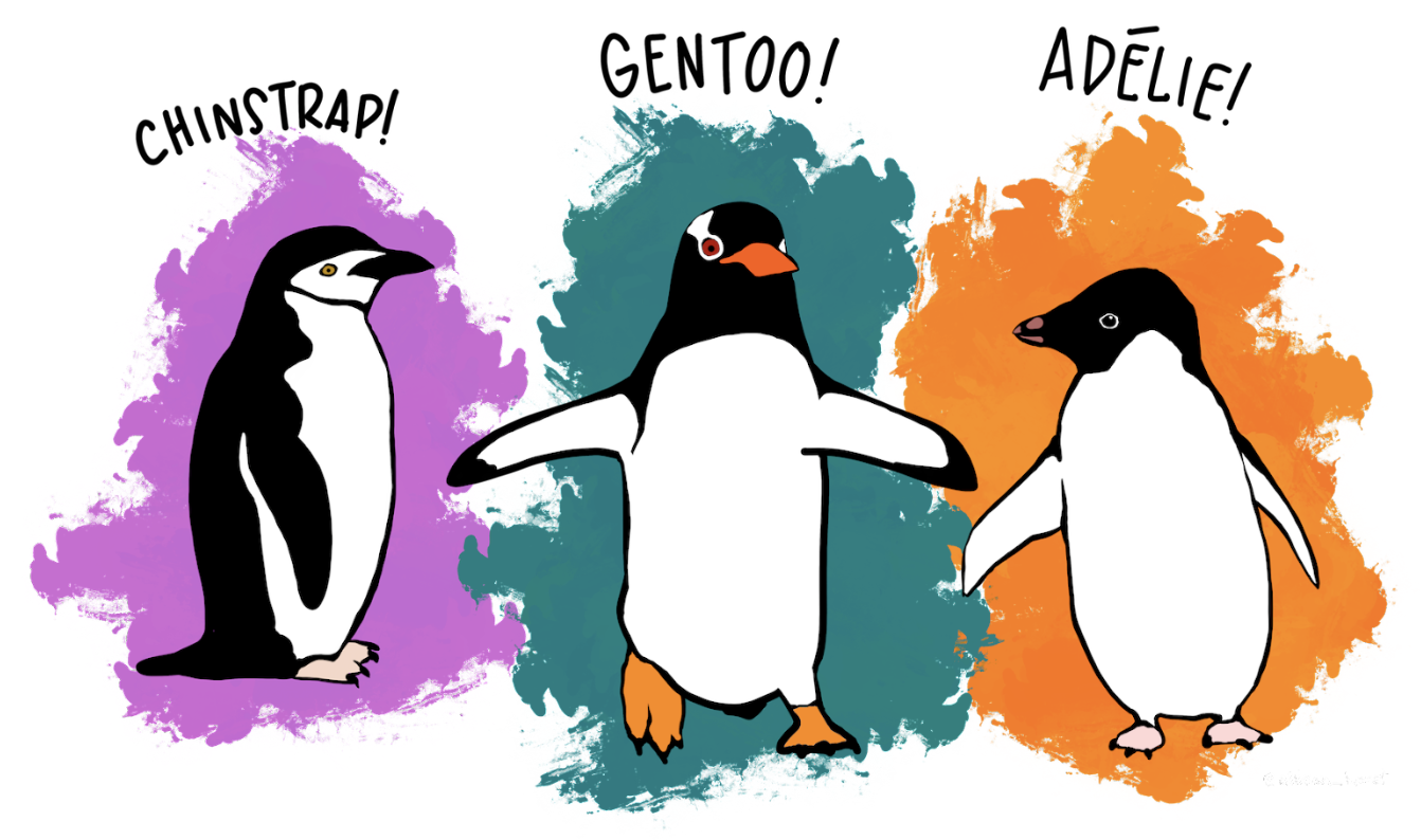 drawing by Allison Horst of the three types of penguins in this data frame: chinstrap, gentoo, and adelie